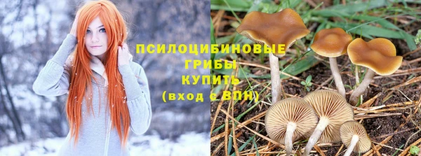 дживик Нефтегорск