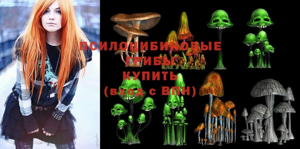 таблы Белокуриха