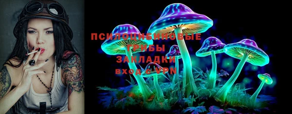 таблы Белокуриха