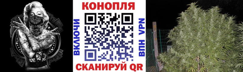 где найти Соль-Илецк МАРИХУАНА THC 21%